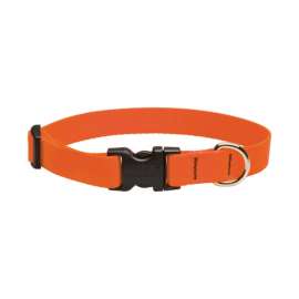 Lupine Pet Basic Solids Blaze Orange Blaze Orange Nylon Dog Adjustable Collar