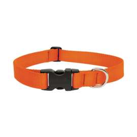 Lupine Pet Basic Solids Blaze Orange Blaze Orange Nylon Dog Adjustable Collar
