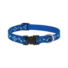 Lupine Pet Original Designs Multicolor Dapper Dog Nylon Dog Adjustable Collar