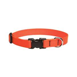 Lupine Pet Basic Solids Blaze Orange Blaze Orange Nylon Dog Adjustable Collar