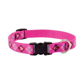 Lupine Pet Original Designs Multicolor Puppy Love Nylon Dog Adjustable Collar