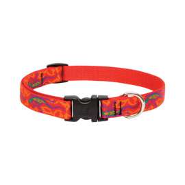 Lupine Pet Original Designs Multicolor Go Go Gecko Nylon Dog Adjustable Collar