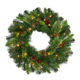 Celebrations Home 24 in. D LED Prelit Warm White Wreath