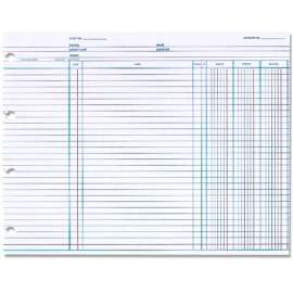 Acco/Wilson Jones Balance Ledger Columnar Sheets