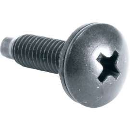 Middle Atlantic 10-32 Rackscrew Truss-Head, 100 Piece, Rack Screw, 10, 0.75"
