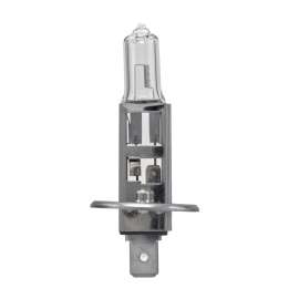 BULB 12V 55W P14.5S T2.5