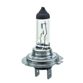 BULB 12V 55W PX26D T4.625