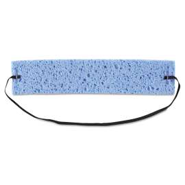 Disposable Sweatbands, Regular, One Size Fits All, Blue