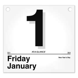 Today Is Daily Wall Calendar Refill, 8.5 x 8, White Sheets, 12-Month (Jan to Dec): 2023