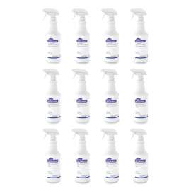 Lite Touch CRT and Plexiglas Cleaner, 32 oz Spray Bottle, 12/Carton