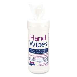 Alcohol Free Hand Sanitizing Wipes, 7 x 8, White