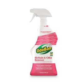 Biostain And Odor Remover, Clean Fresh Scent, 32 Oz Spray Bottle, 12/carton