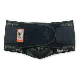 ProFlex 1051 Mesh Back Support w/Lumbar Pad