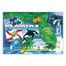 placemats, florida design, 10 x 14, 1,000/carton