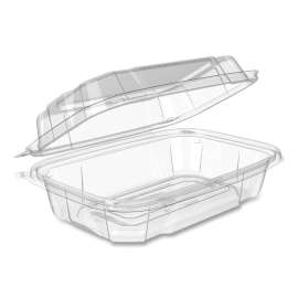 SafeSeal TakeOuts Plastic Hinged Containers, 6.6 x 9.4 x 3, Clear, Plastic, 150/Carton
