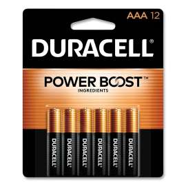 Power Boost CopperTop Alkaline AAA Batteries, 12/Pack