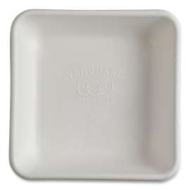 Vanguard Worldview Renewable and Compostable Sugarcane Take-Out Containers, 36 oz, 8 x 8 x 2, White, Sugarcane, 200/Carton