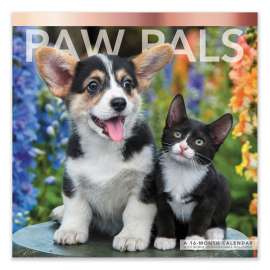Paw Pals Wall Calendar, Kitten and Puppy Photography, White/Multicolor Sheets, 12-Month (Jan to Dec): 2023