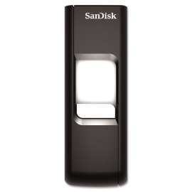 SanDisk - Cruzer™ 32 GB Black USB 2.0 Flash Drive (1 per Pack)