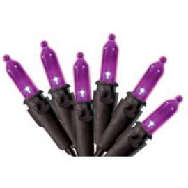100LT PURP LED Mini Set
