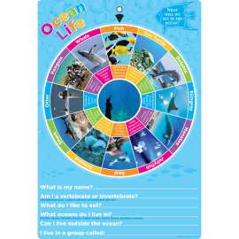 Smart Poly® Smart Wheel®, Ocean Animals