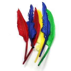 Quill Feathers, 10" & 12", 6 Count