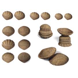 edxeducation Tactile Shells - Eco-Friendly - 36 Pieces, 6 Textures, 3 Sizes - Ages 18m+