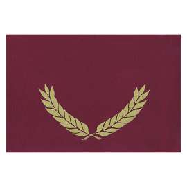 Gold Foil Stamped Maroon Certificate Folders, 10" x 13", Pack of 30