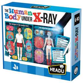 The Human Body Under X-Ray