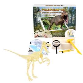 Paleo Hunter Dig Kit for STEAM Education - Velociraptor Rex