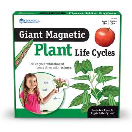 Giant Magnetic Plant Life Cycle, Set of 12