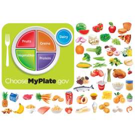 MyPlate Flannelboard Set