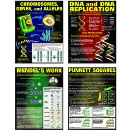 DNA & Heredity Posters, Set of 4