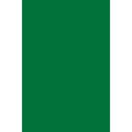 Foam Board, Green, 20" x 30", 10 Sheets