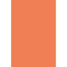 Deluxe Bleeding Art Tissue, Orange, 20" x 30", 24 Sheets