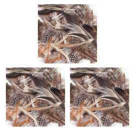 Natural Feathers, Natural Assorted Colors, Assorted Sizes, 1/2 oz.