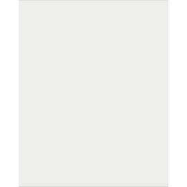 Plastic Poster Board, Clear, 22" x 28", 25 Sheets