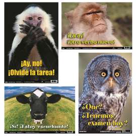 Spanish Fun Photo Posters, Set #5