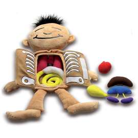 What's Inside Me Doll