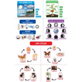 Early Science Concepts Bulletin Board Set