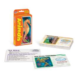 Animals Pocket Flash Cards