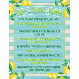 Lemon Zest Stop the Spread of Germs Chart, 17" x 22"