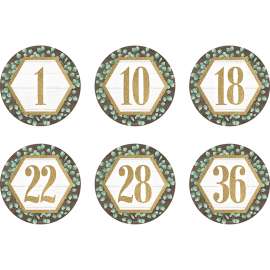 Spot On Floor Markers Eucalyptus Numbers 1-36, 4", Pack of 36