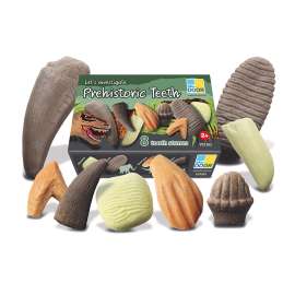 Let's Investigate Prehistoric Teeth, Set of 8