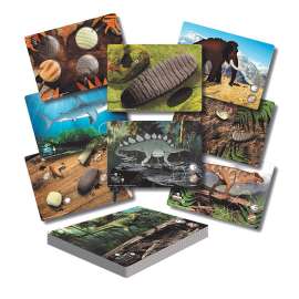 Prehistoric Teeth  Explore and Discover Activity Cards, Set of 16