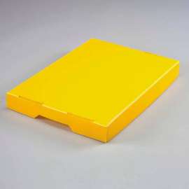 Global Industrial; Corrugated Plastic Postal Mail Tote Lid Yellow