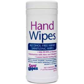 2XL CareWipes Alcohol Free Hand Sanitizing Wipes, 70 Wipes/Can, 6 Cans/Case - 2XL-470