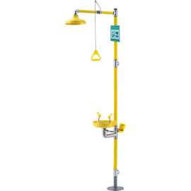 Global Industrial Emergency Combination Shower with Eyewash Station