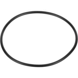 O-Ring For Everpure, EVE151120