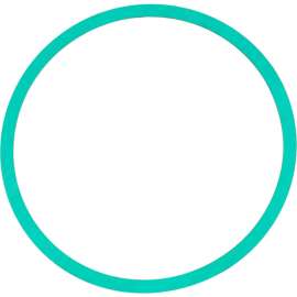 Allpoints 1331619 Flange Gasket - Pump End For Powersoak
